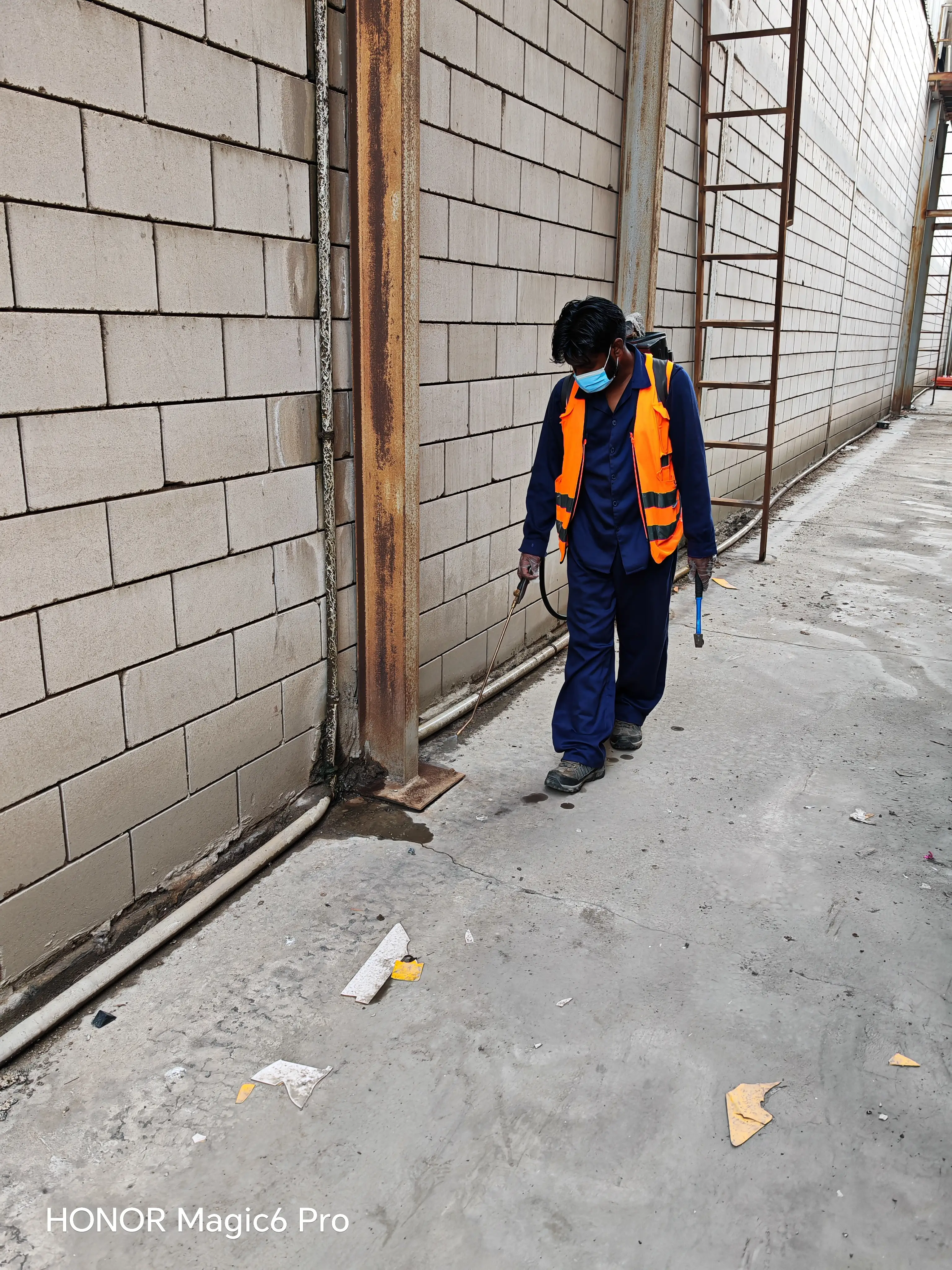 أعمالنا في pest-control